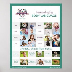 Dog Body Language 16 x 20 Poster verstehen