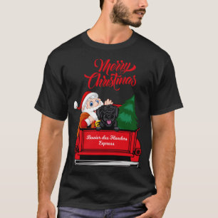 Dog Bowier des Flanders mit dem Weihnachtsmann mit T-Shirt