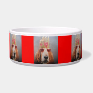 Dog Bowl Basset Hound King Napf