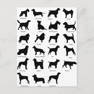 Dog Breeds Postkarte