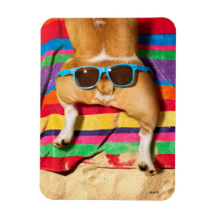 Dog Butt With Sunglasses Magnet