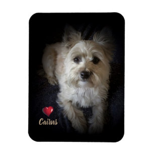 Dog Cairn Terrier "Dog Lover" Flexible Magnet