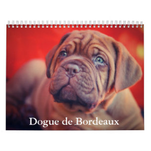 Dog Calendar Kalender
