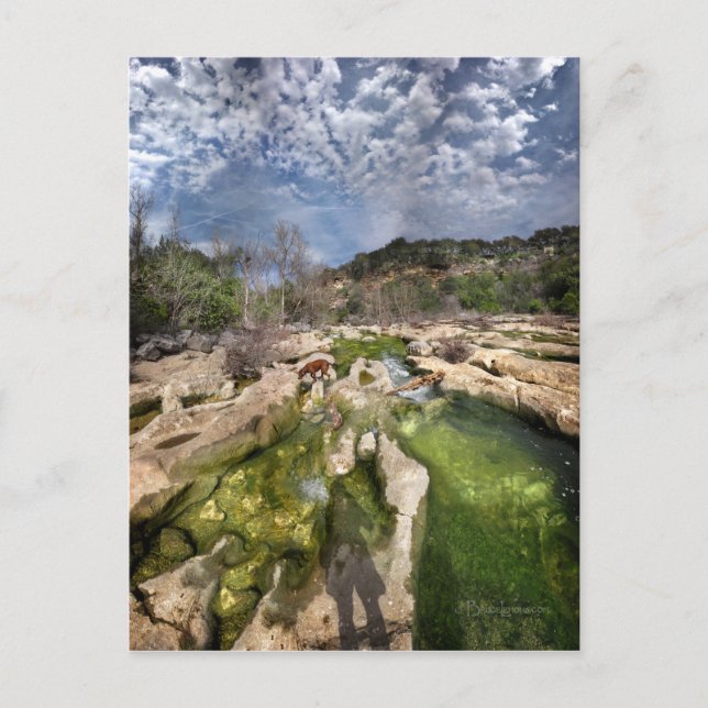 Dog Campbell's Hole Flats Barton Creek Austin Texa Postkarte (Vorderseite)