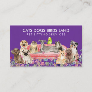 Dog Cat Bird Hotel Sofa Haustier Sitzen lila Visitenkarte