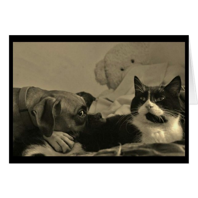 Dog & Cat Cuddle Card (Vorderseite (Horizontal))