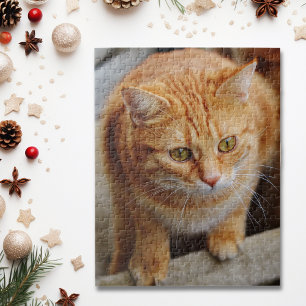Dog Cat Foto Template Fun personalisieren Benutzer Puzzle