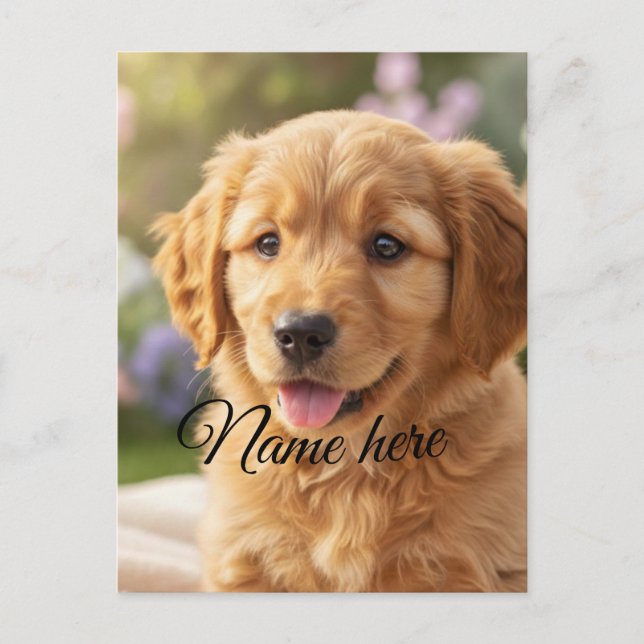 Dog cat pet name photo template simple minimal  postkarte (Vorderseite)