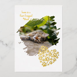 Dog Cat Pet Paw Custom Photo Valentine's Day Love Folieneinladung