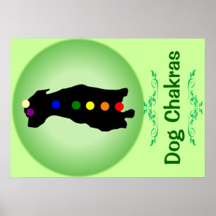 Dog Chakras Poster