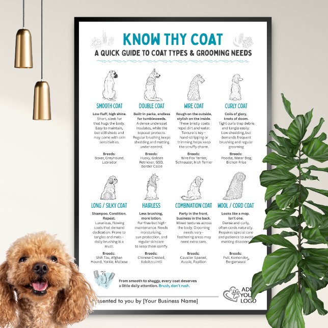 Dog Coat Types Chart - Groomers Wall Art  Poster (Von Creator hochgeladen)