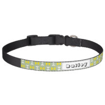 Dog Collar