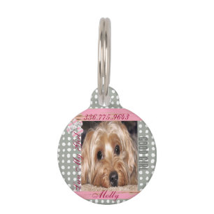Dog Custom Foto Polka Dots Pet ID Tag Haustiermarke