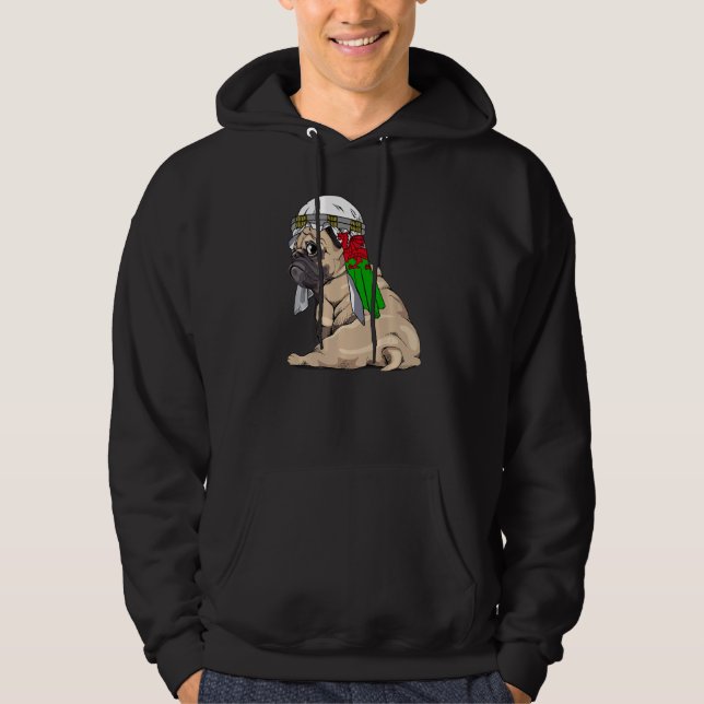 Dog  Cute Pug Retro Wales Flag Pride Hoodie (Vorderseite)