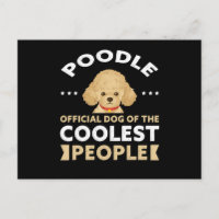 Dog des Coolsten | Hundebesitzer Poodles