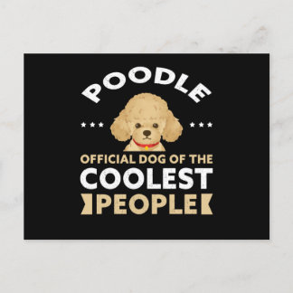 Dog des Coolsten | Hundebesitzer Poodles Postkarte