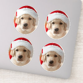 Dog Face Photo Custom Cut out Aufkleber
