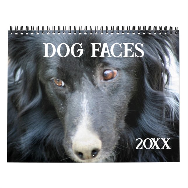 Dog Faces And Expressions Kalender (Titelbild)