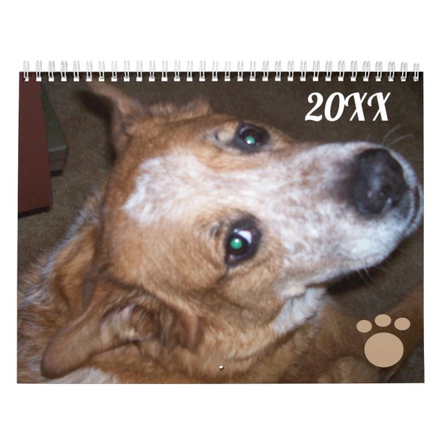 Dog Foto Calendar Ginger Queensland Heeler Kalender (Titelbild)