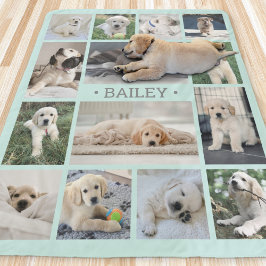 Dog Foto Collage Einfach Moderne Aquamarin und gra Sherpadecke