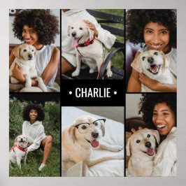 Dog Foto Collage Mit Monogramm Poster