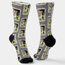 Dog Foto Lover Fun Socks