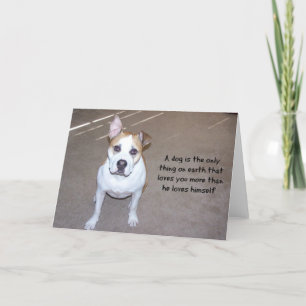 Dog-Fotokarte Karte