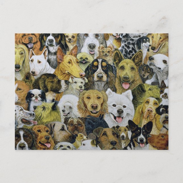 Dog Friends Postkarte (Vorderseite)
