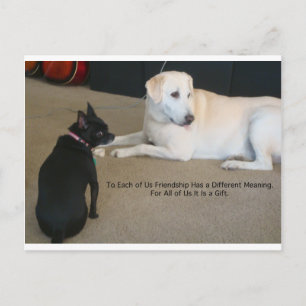 Dog Friendship Postkarte