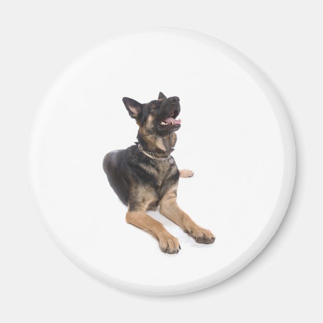 dog - German Shepherd Magnet (Vorne)