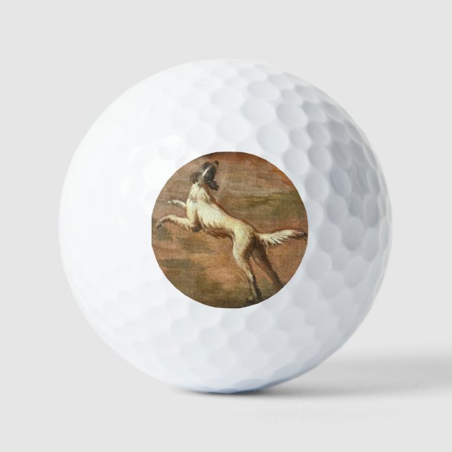 Dog Golfball (Vorderseite)