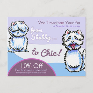 Dog Groomer Shabby Chic Westie Coupon Mailer Postkarte