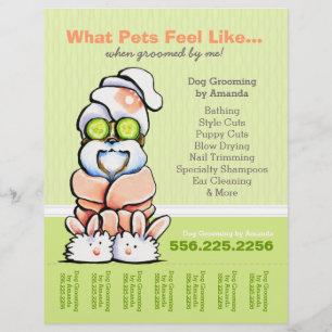 Dog Groomer Wellness-Center Shih Tzu Cucumber Teel Flyer