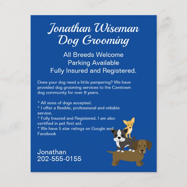Dog Grooming Salon Business Flyer (Vorne)