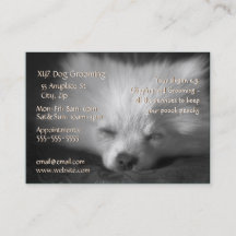 Dog Grooming Service business card template