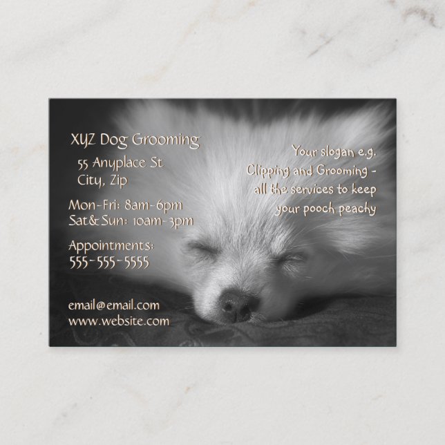 Dog Grooming Service business card template Visitenkarte (Vorderseite)