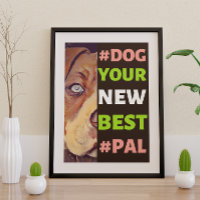 #Dog, Ihr neues Bestes #Pal ...Pitbull