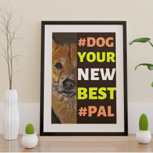 #Dog, Ihr neues Bestes #Pal ...Shiba Inu Poster