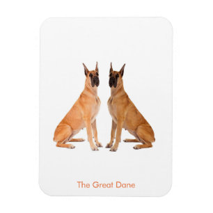 Dog Image für flexibles Foto-Magnet Magnet