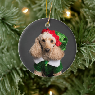 Dog in Elf Costume Keramik Ornament