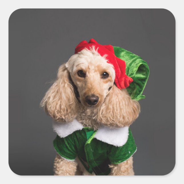 Dog in Elf Kostüm Quadratischer Aufkleber (Vorderseite)