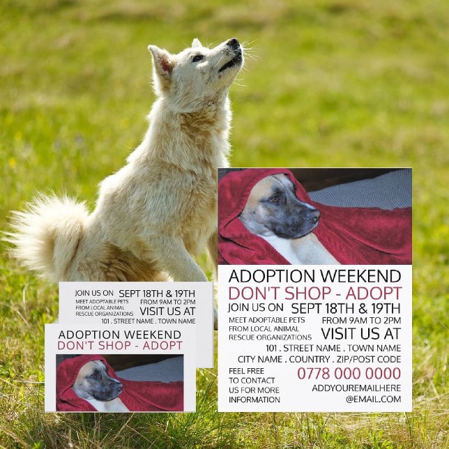 Dog in Red Blanket, Pet Adoption Event Advertising Visitenkarte (Von Creator hochgeladen)