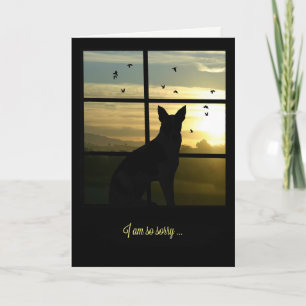 Dog in Window Dog Sympathy Card Karte