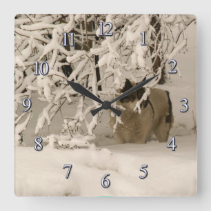 Dog in winter quadratische wanduhr