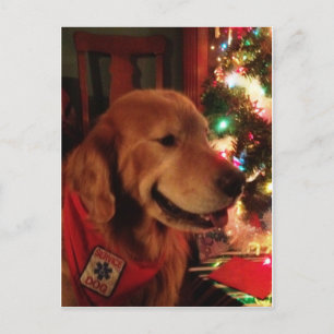 Dog Jonah Christmas Postcard Feiertagspostkarte