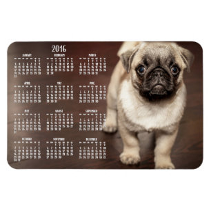 Dog-Kalender 2016 Foto Großes Magnet 4x6