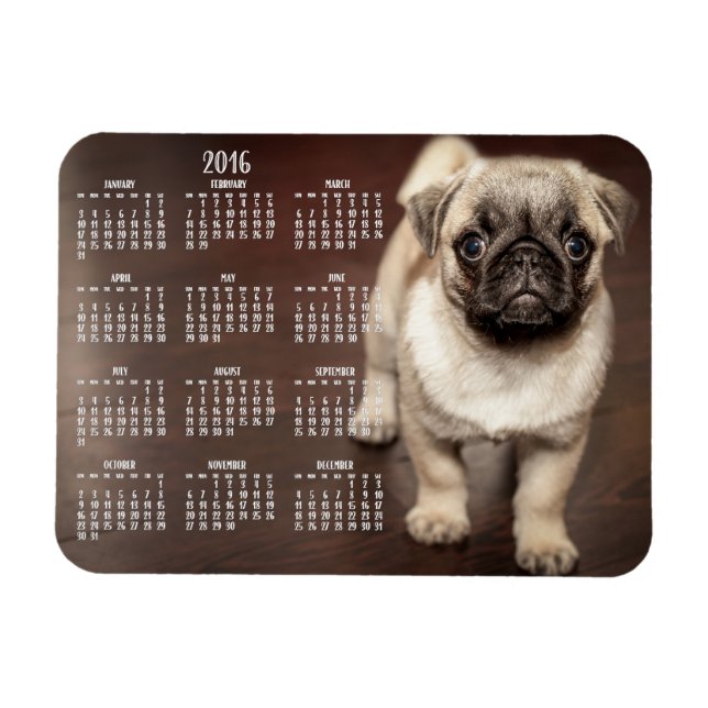 Dog-Kalender 2016 Foto Small Magnet 3x4 (Horizontal)