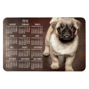 Dog-Kalender 2018 Foto Großes Magnet 4x6