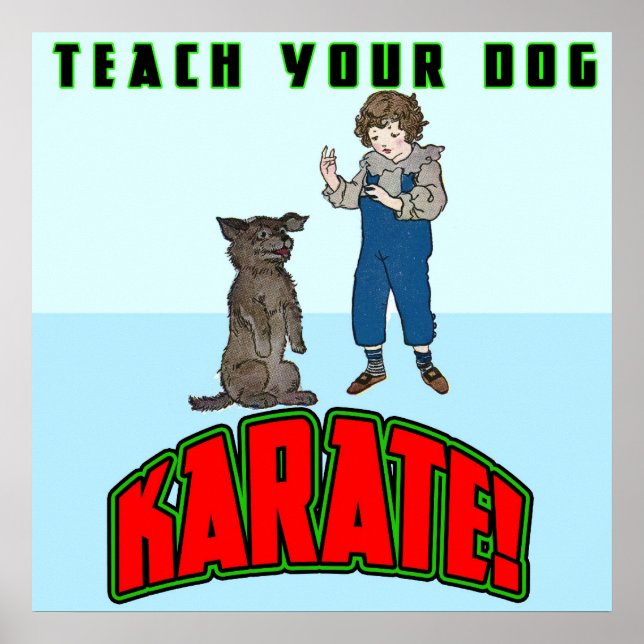 Dog Karate 2 Poster (Vorne)