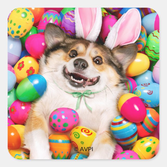 Dog Laying on Easter Eggs Quadratischer Aufkleber (Vorderseite)